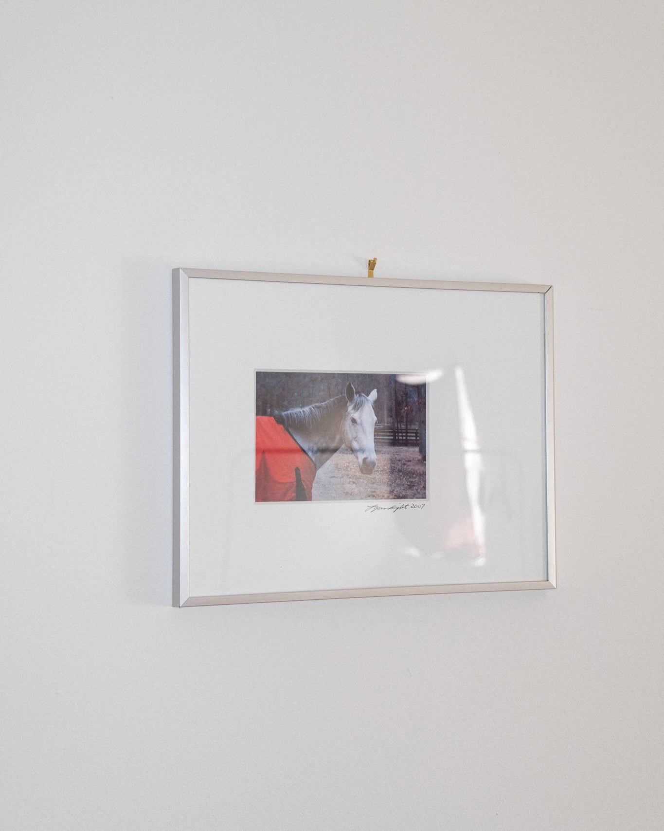 2007 Framed Horse Photograph