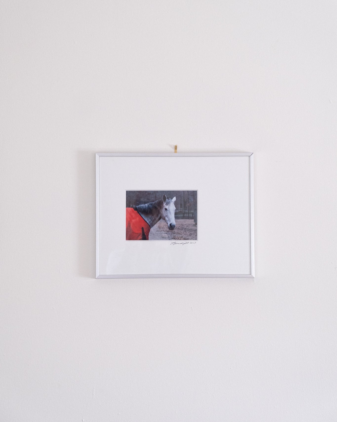 2007 Framed Horse Photograph