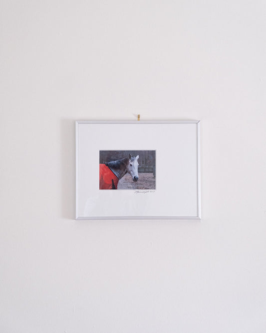 2007 Framed Horse Photograph